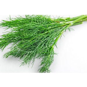 Dill Leaves