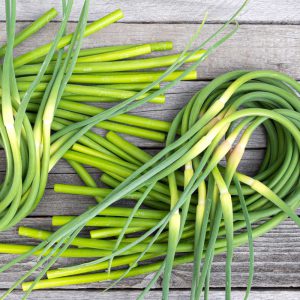 Garlic Scape