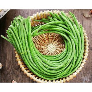 Hmong Yardlong Beans