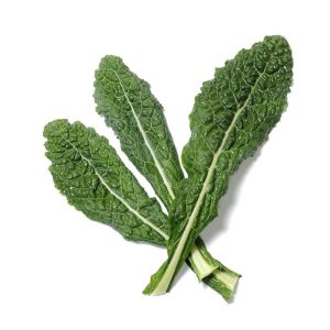 Kale Lacinato