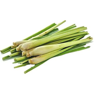 Lemongrass