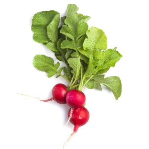 Radish