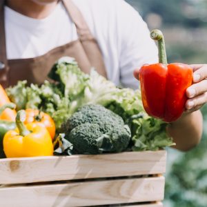 12 Weeks Delivery-Share