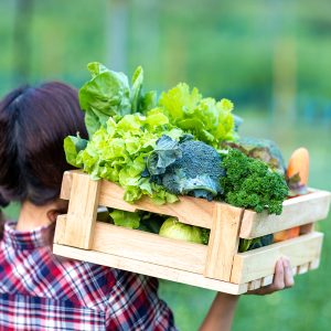 20 Weeks Delivery-Share